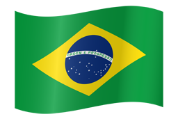 Brazil Flag image
